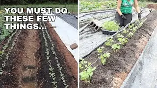 Farm Update - a Few Things You Must Do...