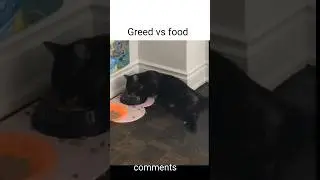 Greed vs food memes