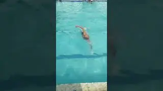 How to FLIP TURN in Swimming #olympics
