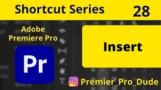 How to insert in Adobe Premiere Pro 2020 | Premier Pro Dude