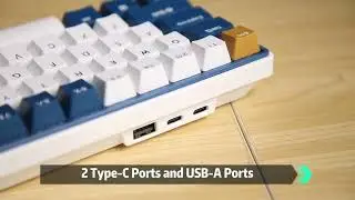 RK61 PLUS detachable type-C cable