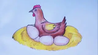 How to Draw realistic Hen using egg step by step and easy 