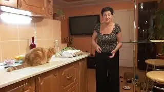 ОБОЗВАЛИ 😱 ОБОСРАЛИ 😂 ИДИОТКОЮ НАЗВАЛИ