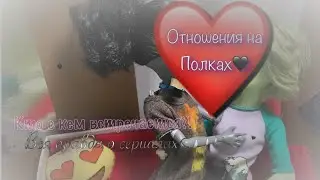 Вся правда об отношениях на полках♥️ ||stopmotion|| шоу "кто с кем" встречается?😏