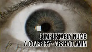 Comfortably Numb - A Cover by Arshad Amin