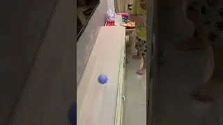 家中小遊戲：球進了就可以吃水果
