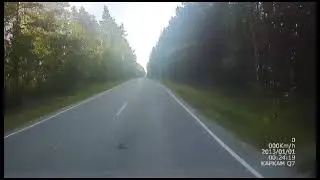 Внимательно! Косуля бежит рядом!
