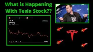 Why is Tesla Stock Crashing???