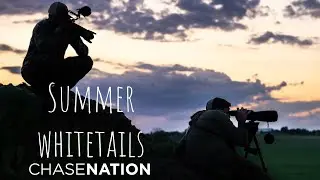 Scouting Whitetails from Vantage Points in the Summer