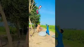 Must Watch New Funny Video 😝😝 don't miss end #shorts