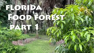 Summer 2021 Florida Food Forest Tour - Part 1