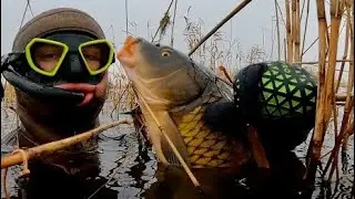 САЗАНЫ!!! УДАЧНАЯ ПОДВОДНАЯ ОХОТА АГРАХАНСКИЙ ЗАЛИВ!!!
