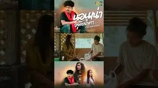 นอนเน่าอยู่กับน้ำตา - ดิว ศตวรรษ | TMG RECORD