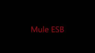 A Beginners’ Guide to Mule ESB tutorial – IQ Online Training