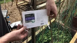 Bird and soft butterfly brassica crop protection netting (10m x 3m) by Gardening Naturally - Review