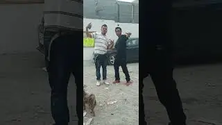 mty nl lukas