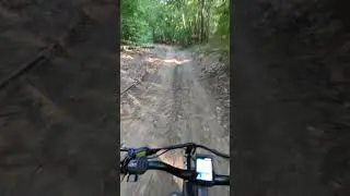ENGWE X24 Adventure In The Forest