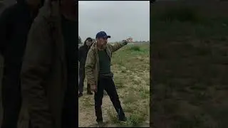 Служебные собаки.