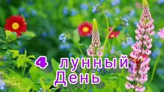 4-ый лунный день.