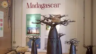 World Expo 2020 - Madagascar Pavilion - Sustainable Sanctuary of Nature