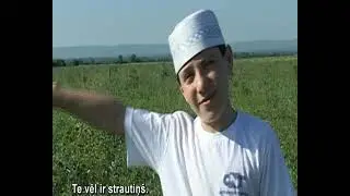 Чечня своими глазами