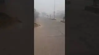 Sri Ganganagar Foggggg..