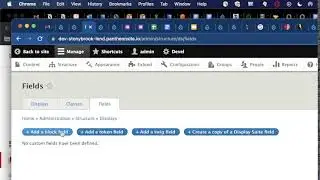 web development