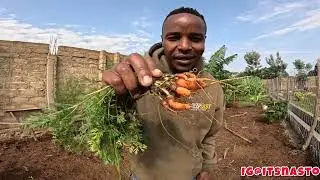 SIMPLE AND SUFFICIENT VILLAGE LIFE || GROWING WHOLE YEAR FOOD FOR MY FAMILY IN OUR KITCHEN GARDEN
