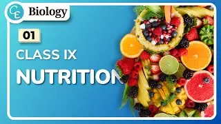 01 | Nutrition Class 9 | WBBSE Class 9 Life Science Chapter in Hindi | By Shifat Ahmed