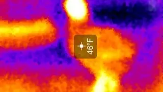 Infrared Chicken Camera