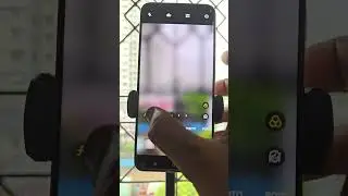Oppo Reno 12 Pro 5G Camera test #Oppo #OppoReno12Pro