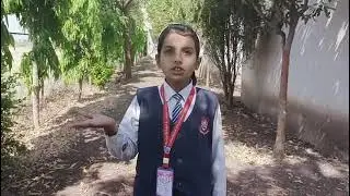 Rose |Shrinidhi Vane Std -3rd |Global School Rahuri