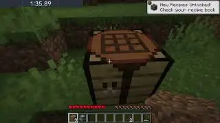 Water bottle speedrun Any% Minecraft 1.21.1