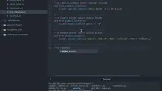 Python Challenge 4