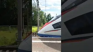 Сапсан Bye-bye | #рек #train #рекомендации #поезд #railway #хочулето