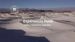 Animate a conocer la #Puna argentina 🦩