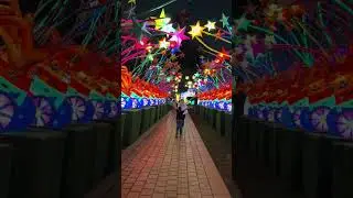 🌸🌹💐Dubai Garden Glow! 🪻🌺🌷When  the stars light up in the sky!🌟💫⭐️✨💥
