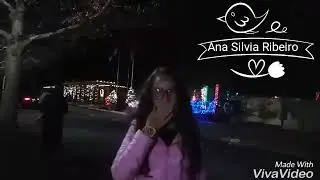 Iluminação de Natal em Boston - USA | Ana Silvia