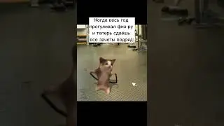 Зачёты 