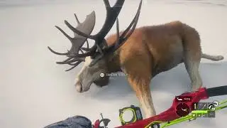 Diamond and Rare Montage for September 2024!(PS4 Edition)|theHunter Call Of The Wild