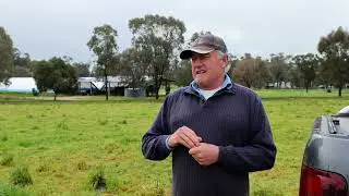 Carbon sequestration - Jon Wright, Coota Park Blue-E