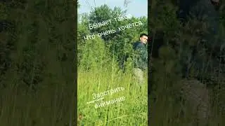 Бывало такое дамы?#цитаты #женщина
