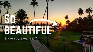 ❤️ BEAUTIFUL SUNRISE , Kerala Backwaters.