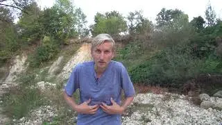 Зачем уделять внимание позвоночнику?