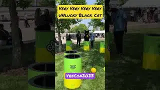 VVVVLBlack Cat “Starry Pong” at the Field Day at VeeCon2023! 