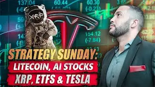 XRP, Tesla AI Stocks and The Litecoin Halving