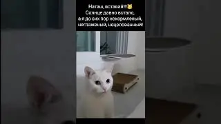 Наташ, вставай!!!😁