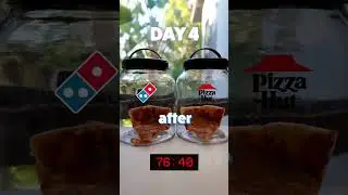Which Pizza Will Rot The Fastest? Pizza Hut vs Dominos