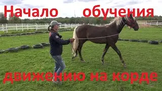 Начало обучения движению на корде. Тальянка.