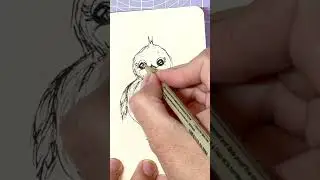🐦 OMG! This Chubby Bird Is Almost TOO Cute to Draw! 🐦 #cutedrawings #drawwithme